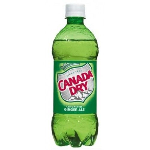 CANADA DRY GINGER ALE 24PK/20OZ