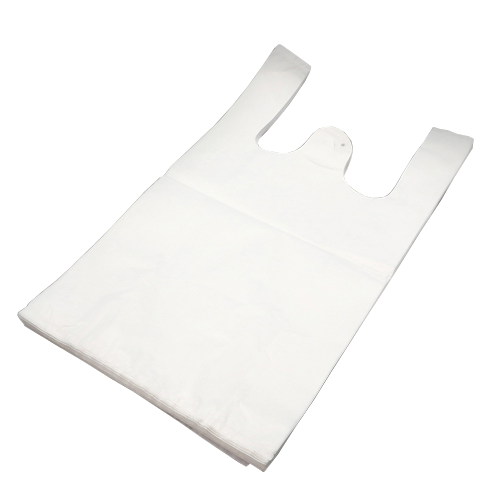 PLASTIC REUSABLE BAG 10X5X19 300CT