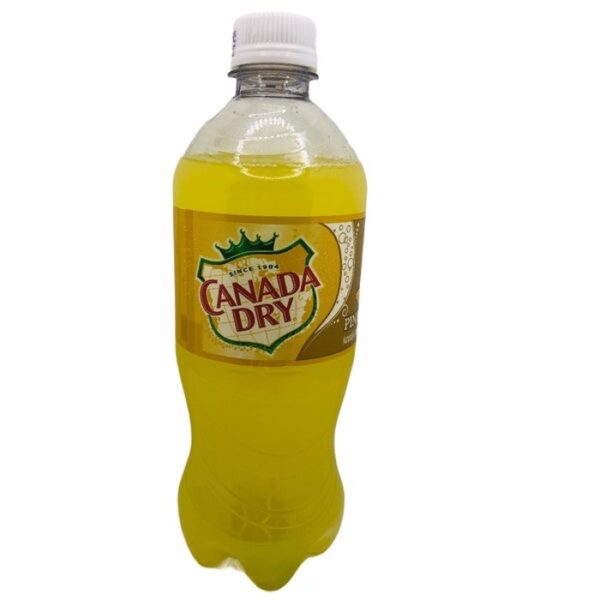 EXOTIC CANADA DRY PINEAPPLE 24PK/20OZ
