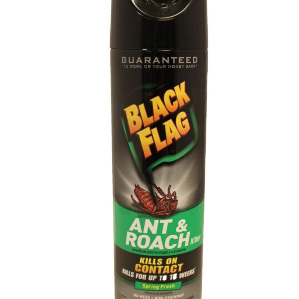 BLACK FLAG ANT & ROACH SPRING FRESH 12/17.5 OZ