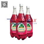 JARRITOS FRUIT PUNCH 8PK/1.5 LTR - Image 2