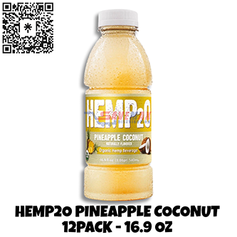 HEMP2O PINEAPPLE COCONUT 12/16.9 OZ