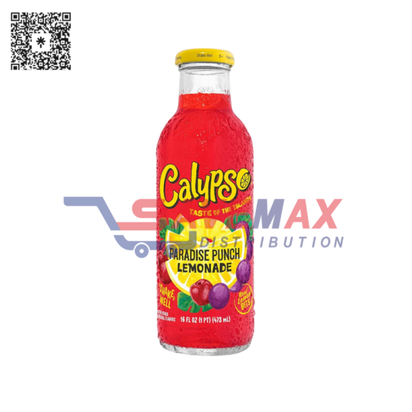 CALYPSO PARADISE PUNCH  12/16OZ