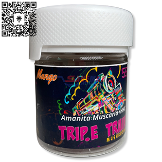 TRIP E TRAIN MANGO 10CT 5500MG