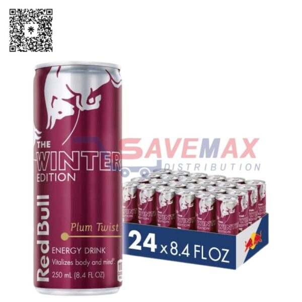 RED BULL WINTER 24/8.4OZ